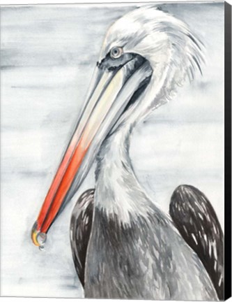 Framed Grey Pelican II Print