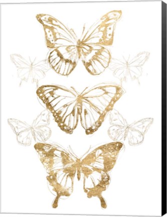 Framed Gold Butterfly Contours II Print