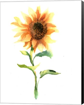 Framed Sunflower III Print