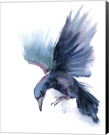 Framed Crow I Print