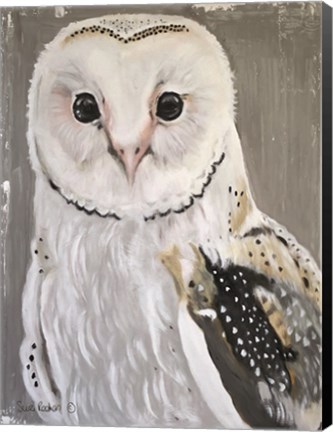 Framed Barn Owl Print