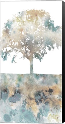 Framed Water Tree I Print