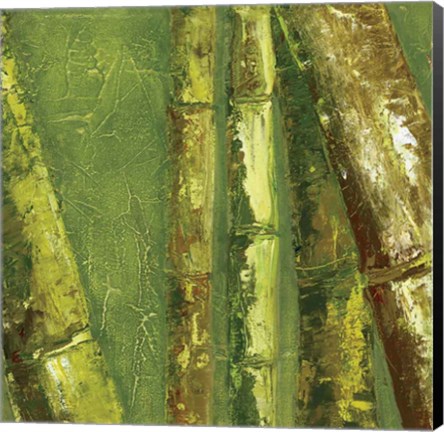 Framed Bamboo Columbia I Print