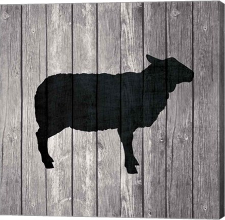 Framed Barn Sheep Print