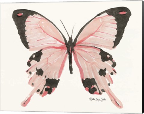 Framed Butterfly 1 Print