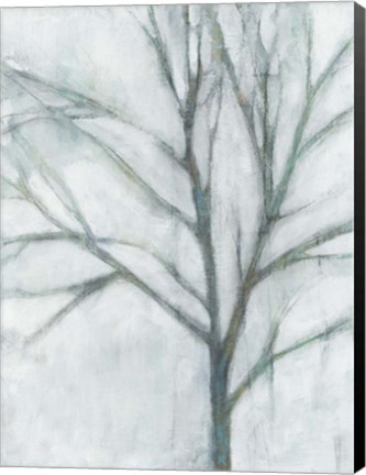 Framed Tree with White Sky I Print