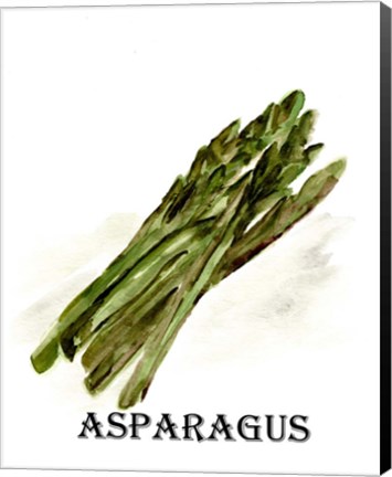 Framed Veggie Sketch I-Asparagus Print