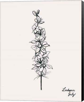 Framed Annual Flowers VII Print