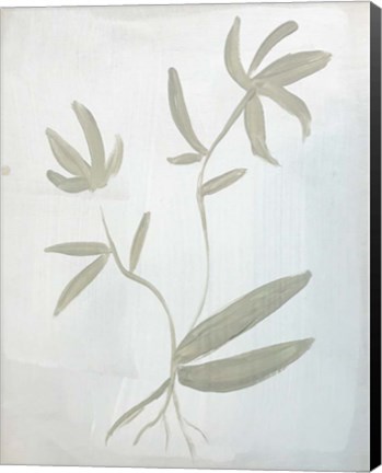 Framed Leaves on White Print