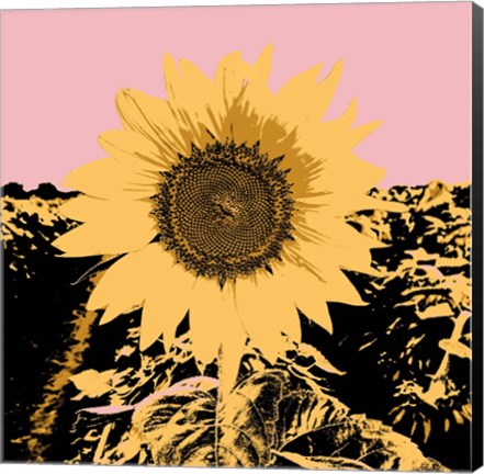 Framed Pop Art Sunflower III Print