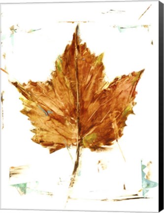 Framed Autumn Leaf Study I Print