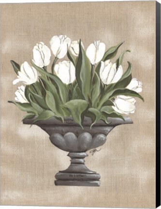 Framed Tulip Urn Print
