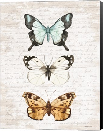 Framed Butterfly Trio Print