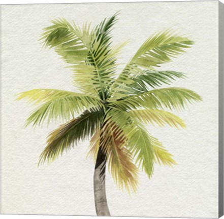 Framed Coco Watercolor Palm II Print