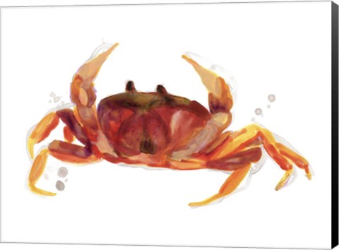 Framed Crab Cameo III Print