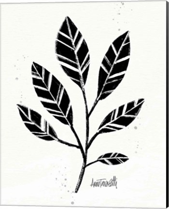 Framed Botanical Sketches III Print