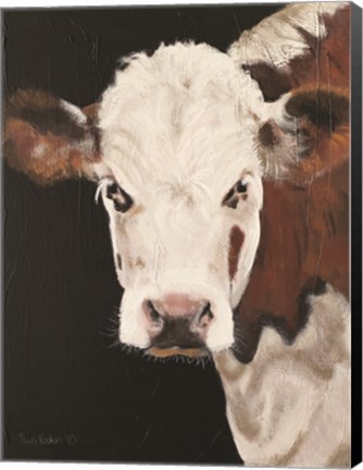 Framed Portrait of a Hereford Print