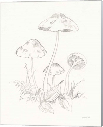 Framed Nature Sketchbook III Print