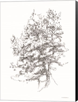 Framed Whispering Pines 2 Print