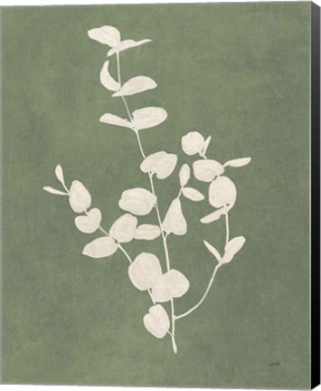 Framed Botanical Study II Forest Green Print