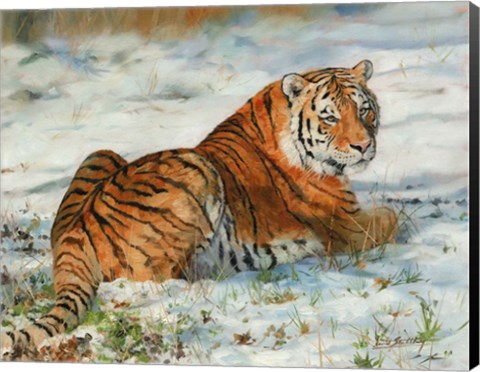 Framed Tiger In Snow Print