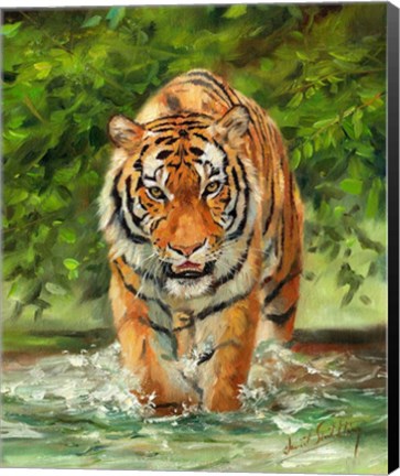 Framed Tiger On The Prowl Print