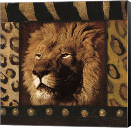 Framed Lion Bordered Print