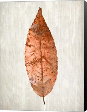 Framed Copper Leaves 1 Print