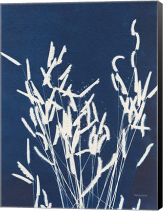 Framed Ornamental Grass IV Print