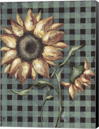 Framed Sunflowers Plaid I Print