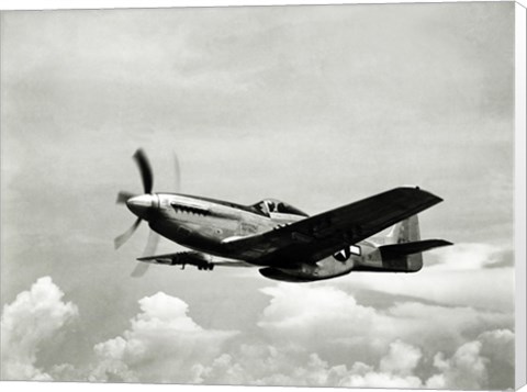 Framed Low angle view of a military airplane in flight, F-51 Mustang Print