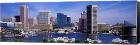 Framed Inner Harbor Federal Hill Skyline Baltimore MD Print