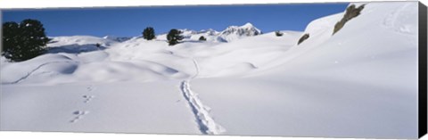 Framed Footprints on a snow covered landscape, Alps, Riederalp, Valais Canton, Switzerland Print