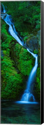 Framed Waterfall in a forest, Sullivan Falls, Opal Creek Wilderness, Oregon, USA Print