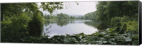 Framed Forest and River, Sjolangs, Sweden Print