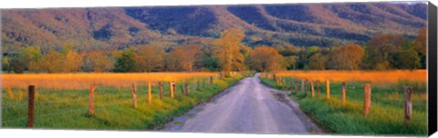 Framed Road At Sundown, Cades Cove, Great Smoky Mountains National Park, Tennessee, USA Print