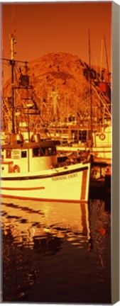 Framed Fishing boats in the bay, Morro Bay, San Luis Obispo County, California (vertical) Print