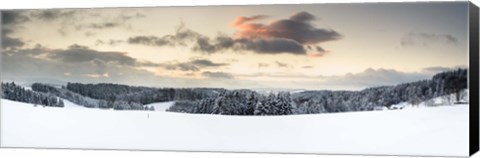 Framed Trees on a snow covered hill, Black Forest, Baden-Wurttemberg, Germany Print