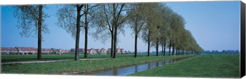 Framed Aalsmeer Holland Netherlands Print