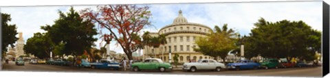 Framed Vintage cars parked on a street, Havana, Cuba Print