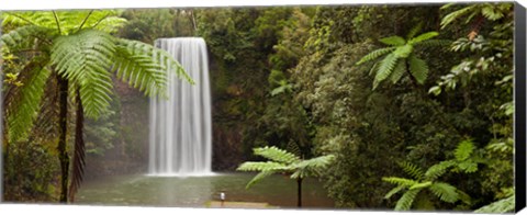 Framed Waterfall in a forest, Millaa Millaa Falls, Atherton Tableland, Queensland, Australia Print
