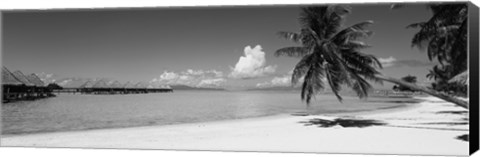 Framed Moana Beach (black and white), Bora Bora, Tahiti, French Polynesia Print