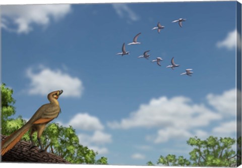 Framed Archaeopteryx observing a flock of migrating pterosaurs Print