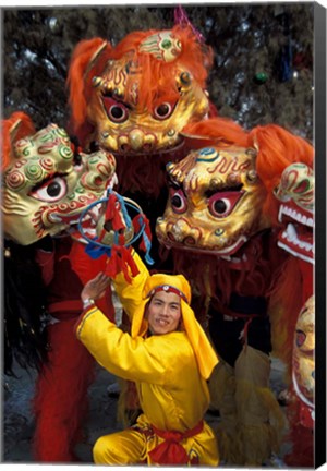 Framed Lion Dance Celebrating Chinese New Year, Beijing, China Print