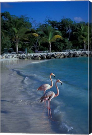 Framed Sonesta Island,  Aruba, Caribbean Print