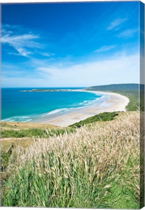 Framed New Zealand, South Island, Catlins, Tautuku Bay Print