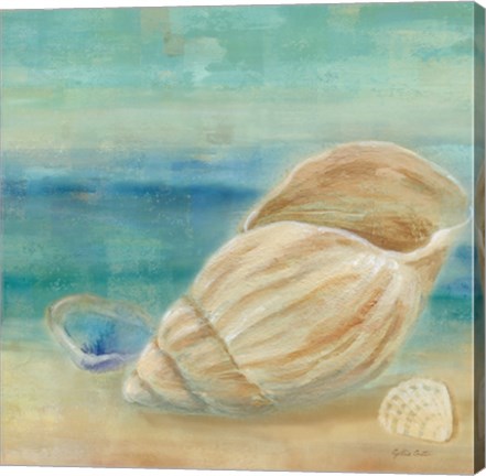 Framed Horizon Shells II Print