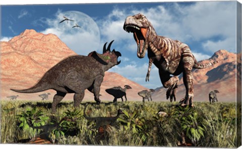 Framed Prehistoric battle between a Triceratops and Tyrannosaurus Rex Print
