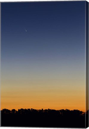 Framed Comet Panstarrs at twilight,  Buenos Aires, Argentina Print