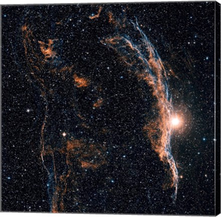 Framed Witch&#39;s Broom Nebula (NGC 6960), and part of the Veil Nebula Print